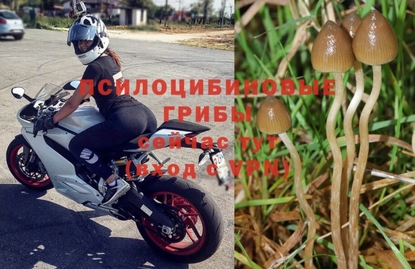 MDMA Premium VHQ Вяземский