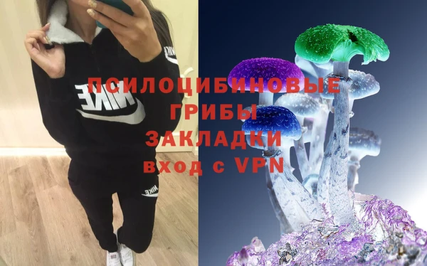 герыч Вязьма