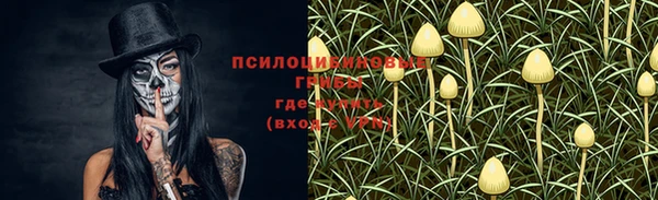 MDMA Premium VHQ Вяземский