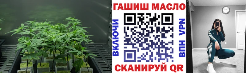 ТГК вейп где купить наркоту площадка как зайти Мариинск