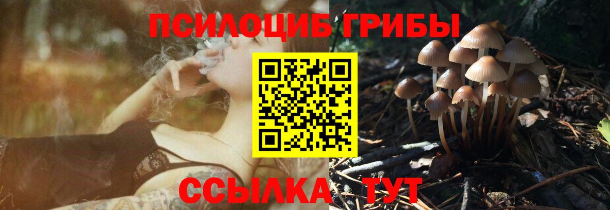 Галлюциногенные грибы мицелий  Вход с VPN  Псилоцибиновые грибы MAGIC MUSHROOMS  Мариинск 