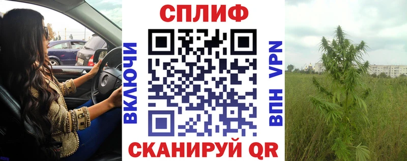 Шишки марихуана семена shop клад Мариинск где можно купить наркотик
